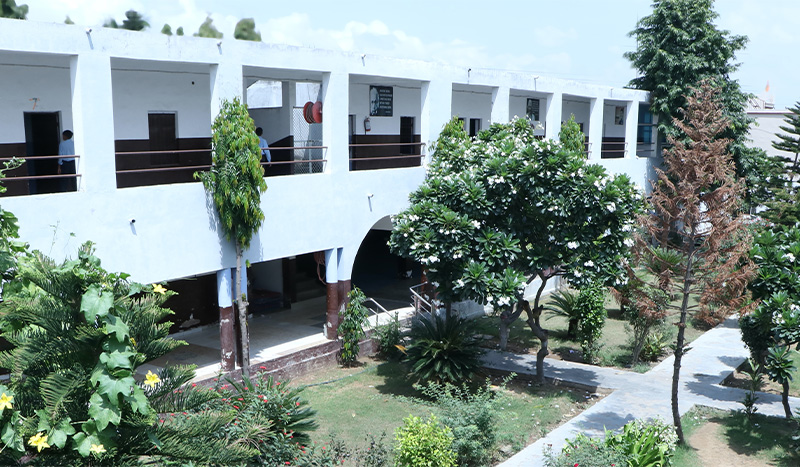 school in bhiwadi